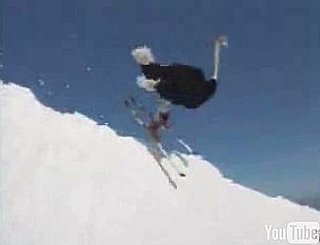 WTF?!