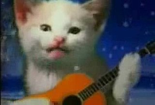 Jingle Cats