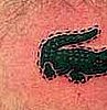 Lacoste Logo Tattoo
