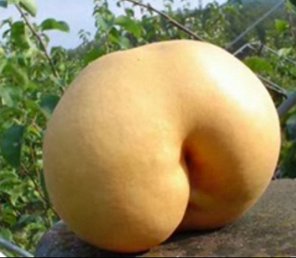 Nature Is Sexy