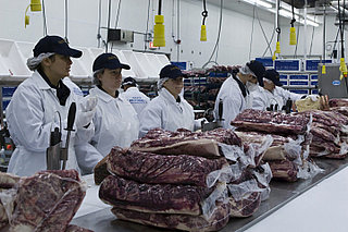 Let's Dish: Top Chef 4.12 — Off to the Butchers