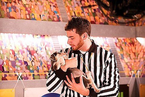 An Interview with the Puppy Bowl Referee