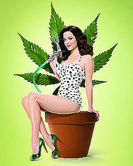 First Look: Weeds Season Four First Look: Weeds Season Four