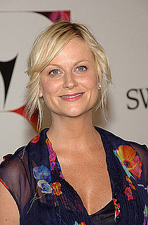 Amy Poehler Could Join New NBC Show from The Office Team