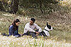 Movie Preview: Will Smith in Seven Pounds