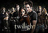 What Did You Think of Twilight