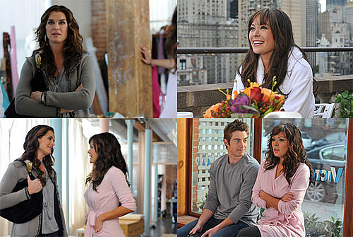 Lipstick Jungle Recap: Episode 11, "Indecent Exposure"