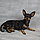 Renees3's picture