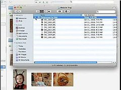 Google Introduces Picasa For Mac 