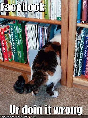 Icanhascheezburger Posts Job Search, Website Speaklolcat Can Help You