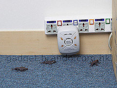 Electromagnetic Cockroaches Expeller Uses Lights To Deter Cockroaches