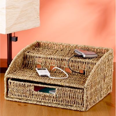 Seagrass Charging Station: Love It or Leave It?
