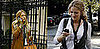 What Cell Phones Should the Characters of Gossip Girl Really Have?