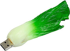 Your USB Stick Would Be Great in a Salad! 