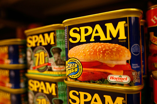 Getting Revenge on Spammers