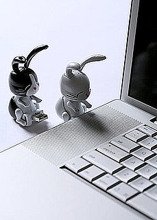 USB Bunnies, Doin' What They Were Born to Do