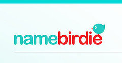 Namebirdie Makes Name-Changing a Breeze! 