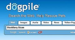 Search a Site, Save a Doggie 