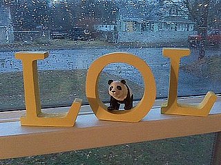LOL Wooden Sign: Love It or Leave It? 