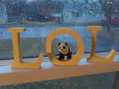 LOL Wooden Sign: Love It or Leave It? 
