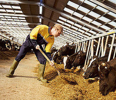 Organics Industry Plagued by Recession and Scandal Organics Industry Plagued by Recession and Scandal