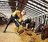 Organics Industry Plagued by Recession and Scandal