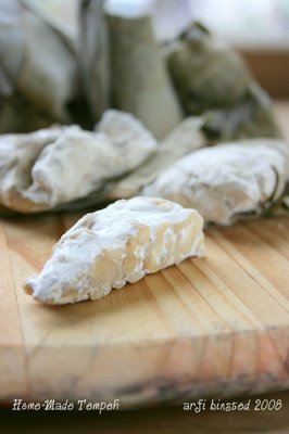 Yummy Link: Homemade Tempeh Yummy Link: Homemade Tempeh