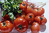 Would You Buy Genetically Modified Food?