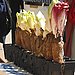 Where Endives Come From