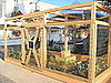 Good Food Garden: Love It or Hate It?