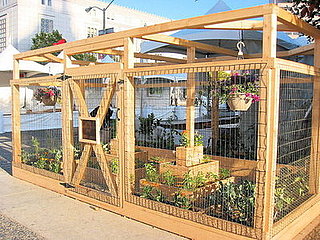 Good Food Garden: Love It or Hate It?