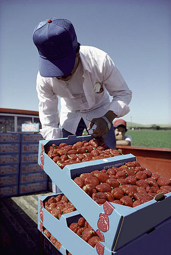 Fact or Fiction? Buying Local Reduces Carbon Footprints