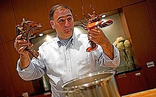All the News That's Fit to Eat — Sept. 24, 2008