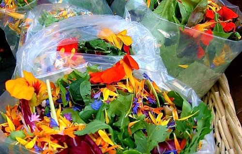 Would You Eat This Salad Mix With Flowers?