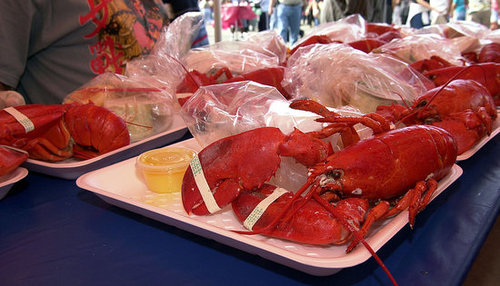 Plunging Lobster Prices Have Been "Devastating"