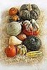 All the News That's Fit to Eat — Nov. 12, 2008