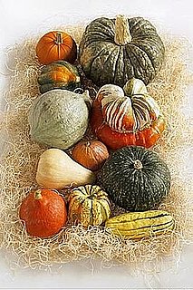 All the News That's Fit to Eat — Nov. 12, 2008