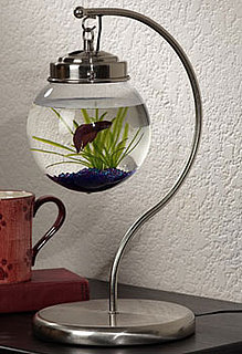 Hanging Aquarium from Opulent Items