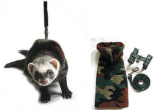 Ferret Clothes and Accessories