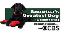 America's Greatest Dog Casting Call America's Greatest Dog Casting Call