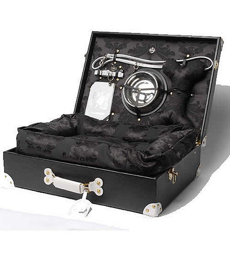 Global Gallivanter Trunk For Picky Pets