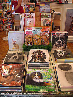 Pet Coffee Table Books