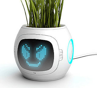 Smart Pet Plant Tells You How It's Feeling
