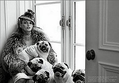 Pugs Play in The Pages of Vogue Italia