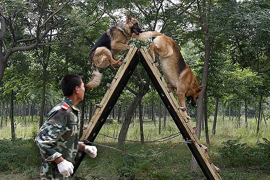 Leaps and Bounds