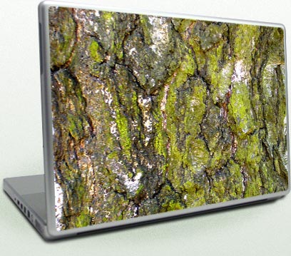 Trees Trees