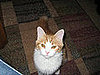 Pet Pics on Petsugar 2008-07-11 08:00:52