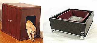 Litter Box Debate: Hidden or Visible?