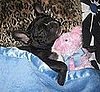 Pet pics on Petsugar 2008-07-22 11:30:34