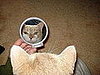 Pet Pics on Petsugar 2008-08-14 08:00:48